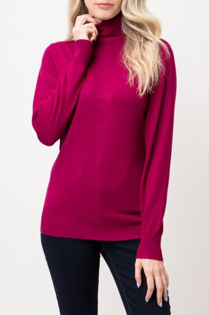 Women's Long Sleeve Turtleneck Semi Fitted Knitted Pullover Sweater Tops - FashionJOA